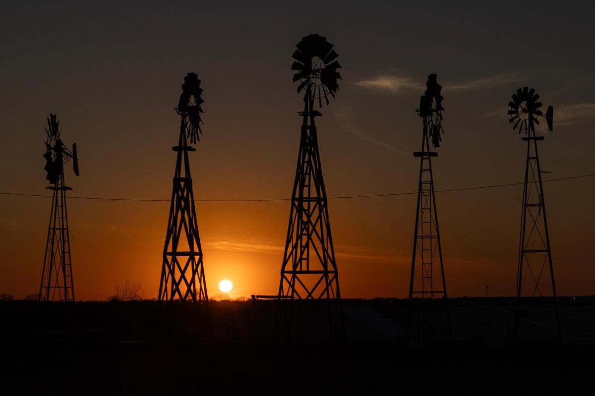 Windmills are silhouetted at sunset on Highway 81 in Bowie, TX on Saturday, March 1, 2025.