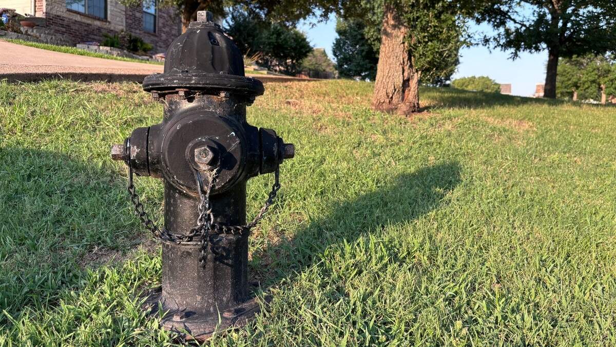 A black fire hydrant sits in green grass on a sunny day, its shadow extending diagonally to the right from its base. Green trees and a red brick house are in the background. 