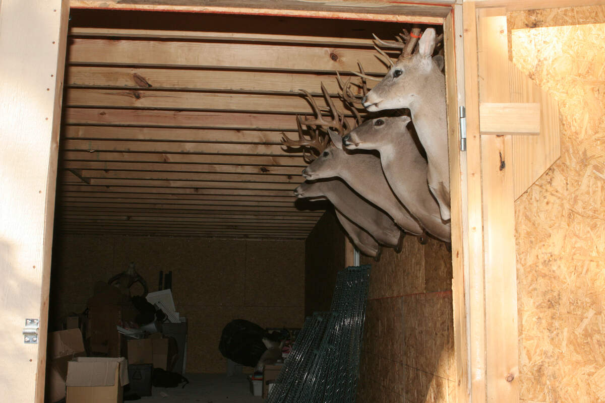 The entrance of the shed where Amber Wyatt reported she was raped, in a 2006 evidence photo.