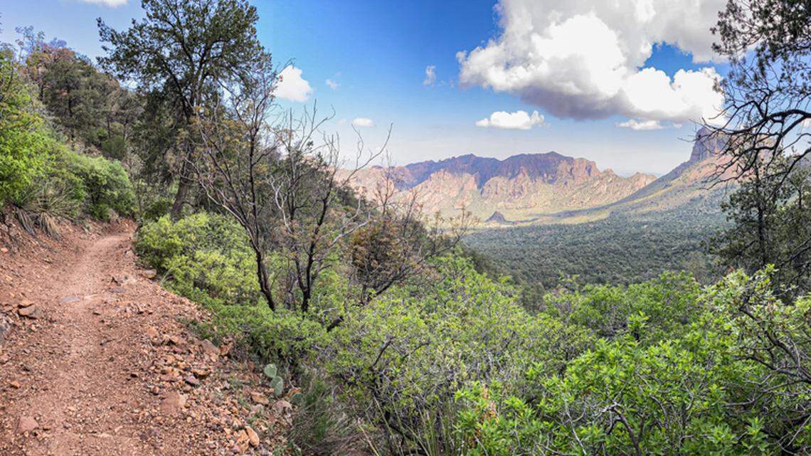 The Pinnacles Trail in Big Bend National Park.