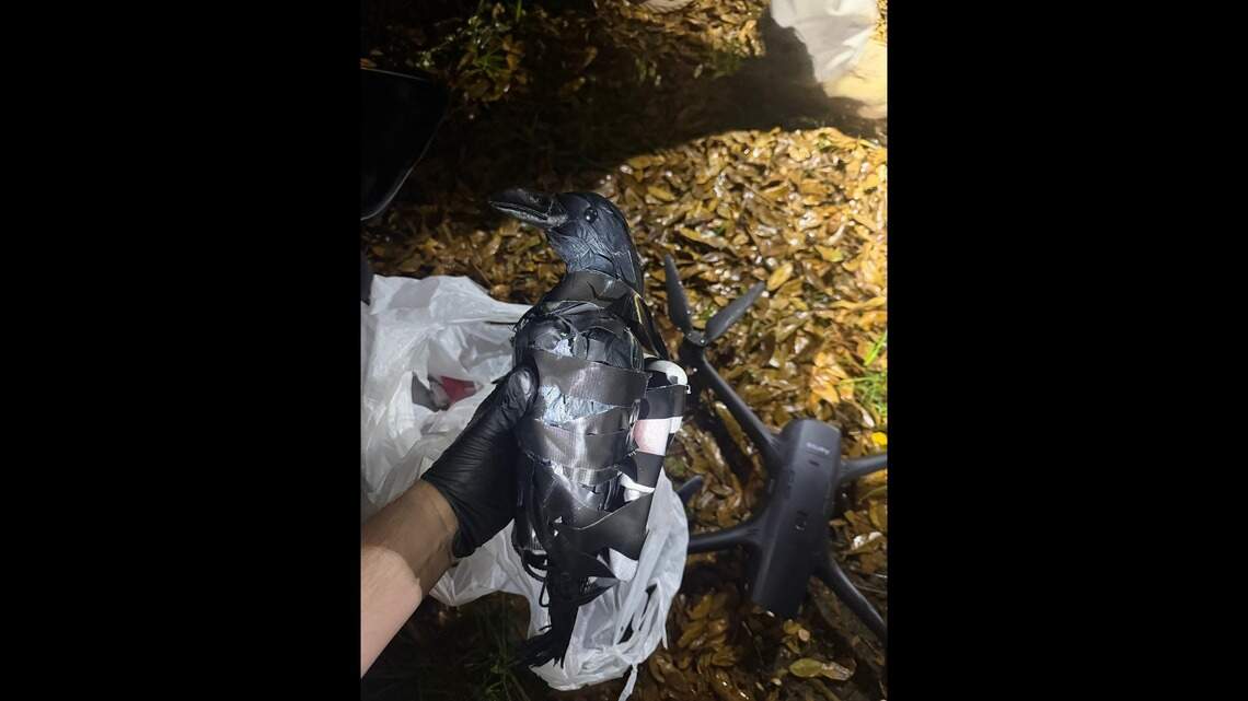 Texas women used plastic crows to try to smuggle drugs in Louisiana prison: sheriff