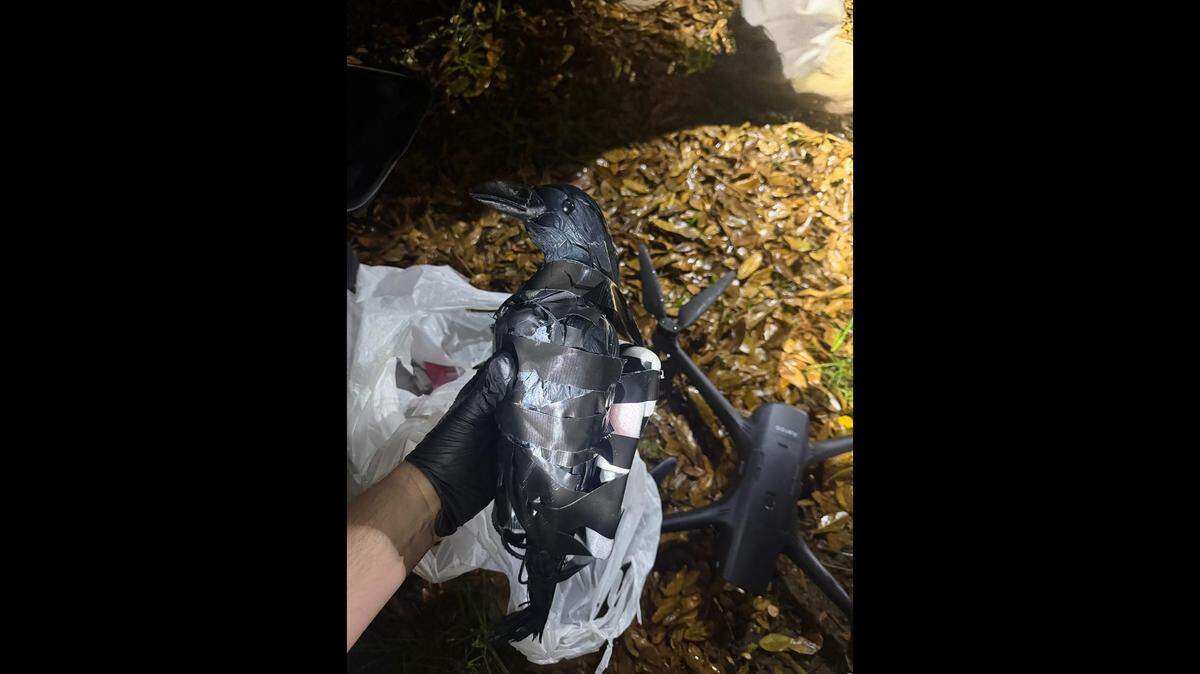 Two North Texas women are accused of using a drone to fly plastic crow decoys filled with drugs, cellphones and tobacco into a federal prison in central Louisiana, authorities say.