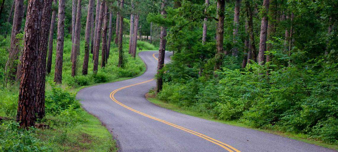 In Tyler, explore&nbsp;the Pineywoods on more than&nbsp;13 miles of trails.
