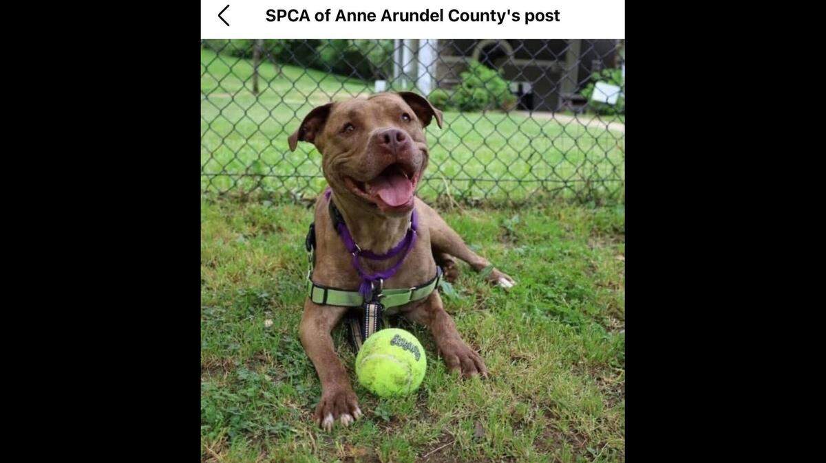 The happy girl loves her playtime.