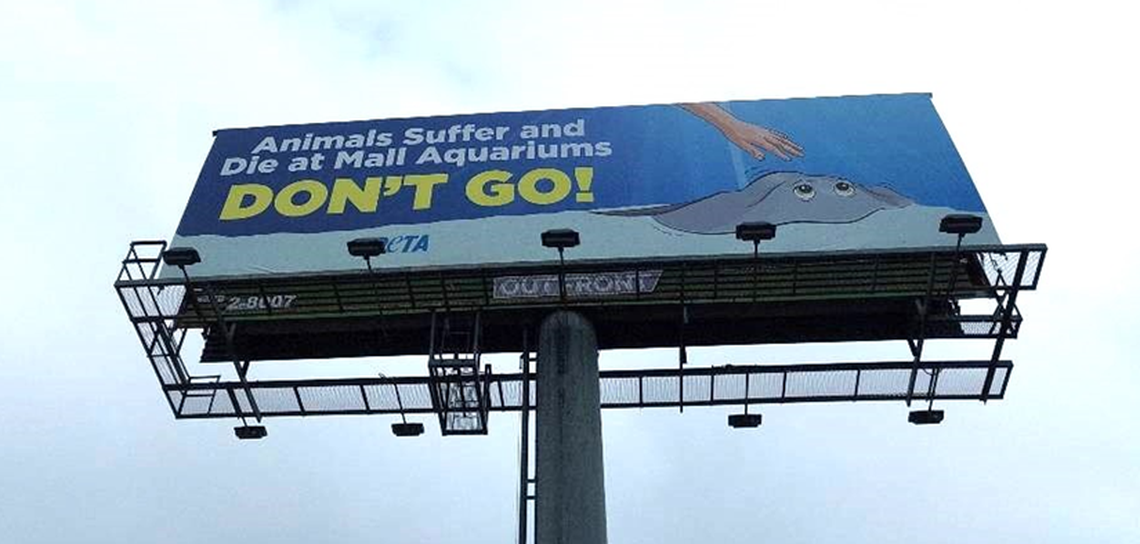 A billboard put up by PETA on thoroughfares leading to the Ridgmar Mall in September 2024 urges Fort Worth residents not to visit the SeaQuest Aquarium.