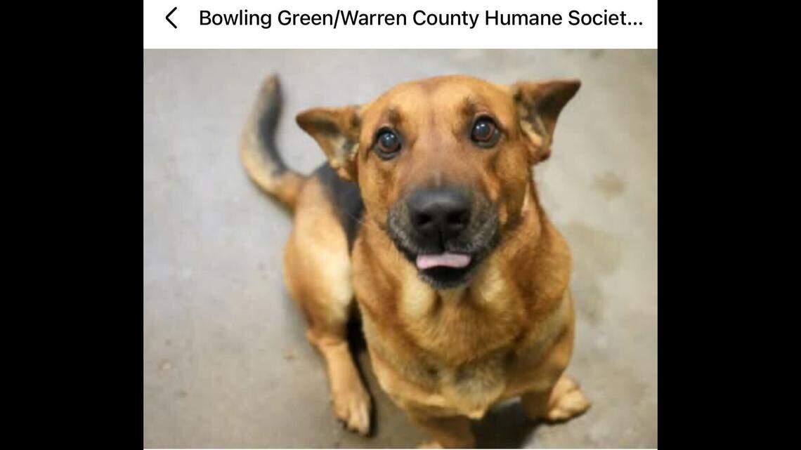 Sweet Zeus shows off his “blep”