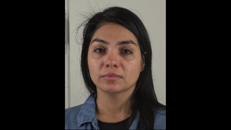 DNA from used plastic fork solves 14-year-old Arlington cold case murder: affidavit