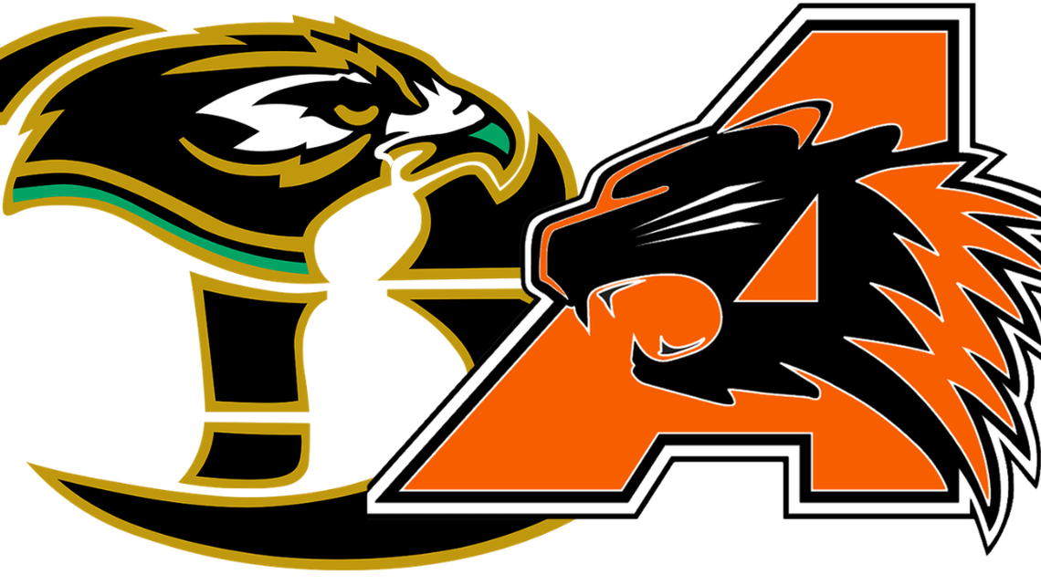 Friday softball fastball: Aledo, Birdville pick up wins, more from area