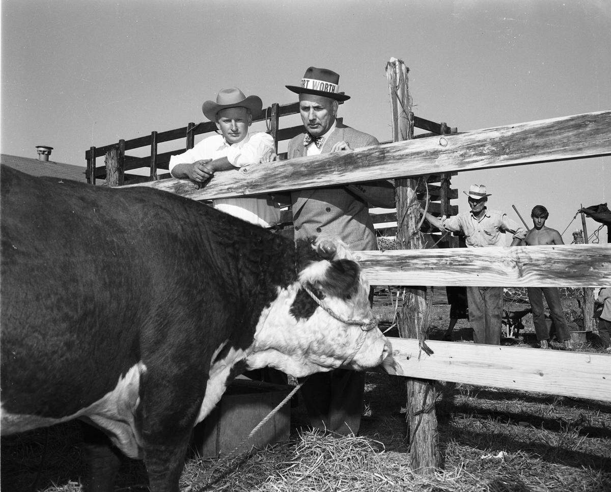 Sept. 30, 1949: Fred Bursey, left, in charge of the livestock division of the Keller Fair, with Gerald O. Barney, visitor from Fort Worth, looking over cattle entrants for judging.