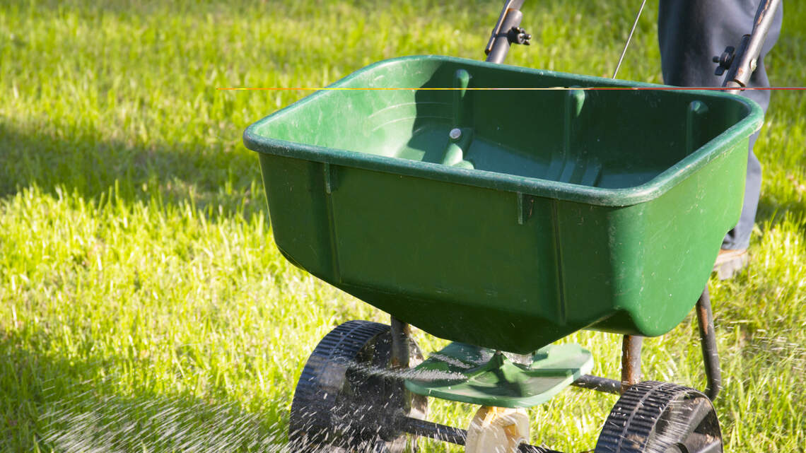 Our North Texas lawns aren’t doing well. Here’s how to fix them
