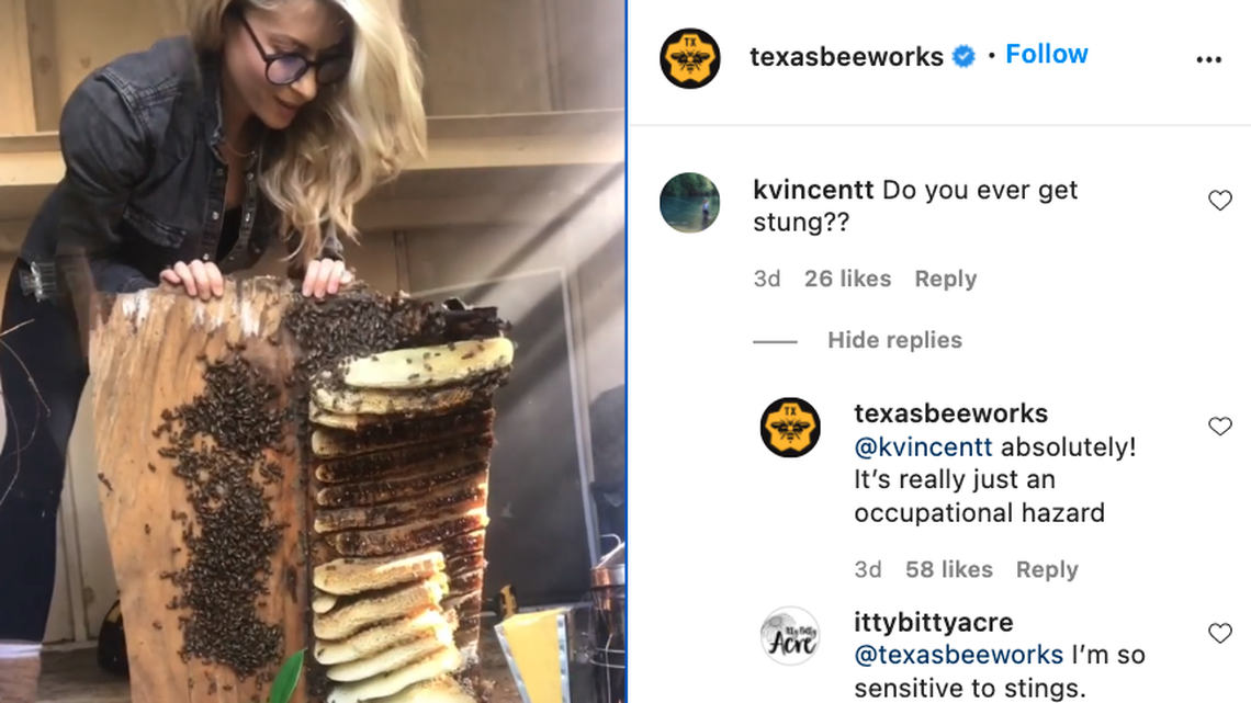 Erika Thompson shows how she saved bees from being exterminated from a Texas home.