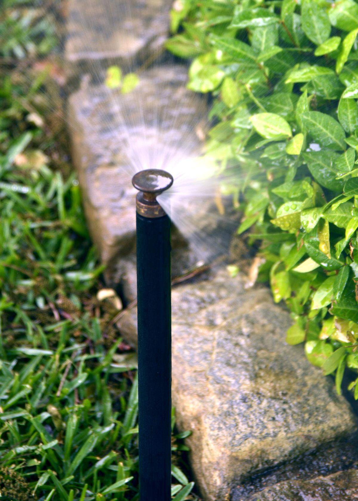 Adjustments to sprinkler timing depend on many things.
