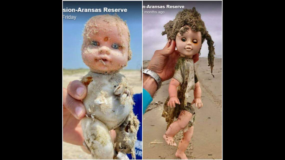 Researchers at the Mission-Aransas Reserve along the Texas Gulf Coast keep finding decrepit dolls washed up on the beach.