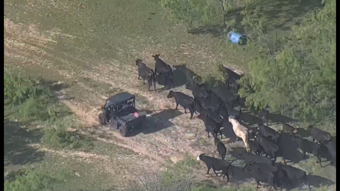 A man was attacked and killed by a bull near Ferris, Texas, authorities said.