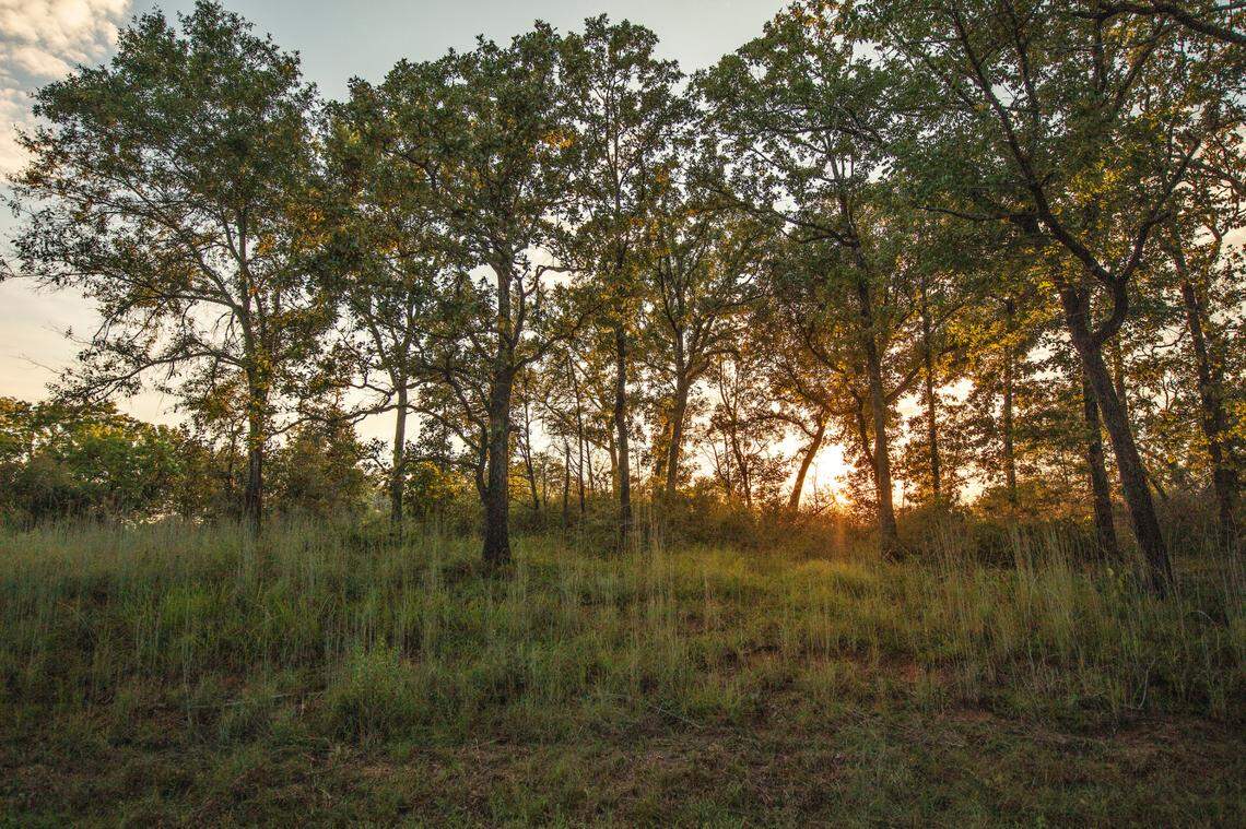 210831_Lake Fairfield. Photographed by Shannon Faulk.