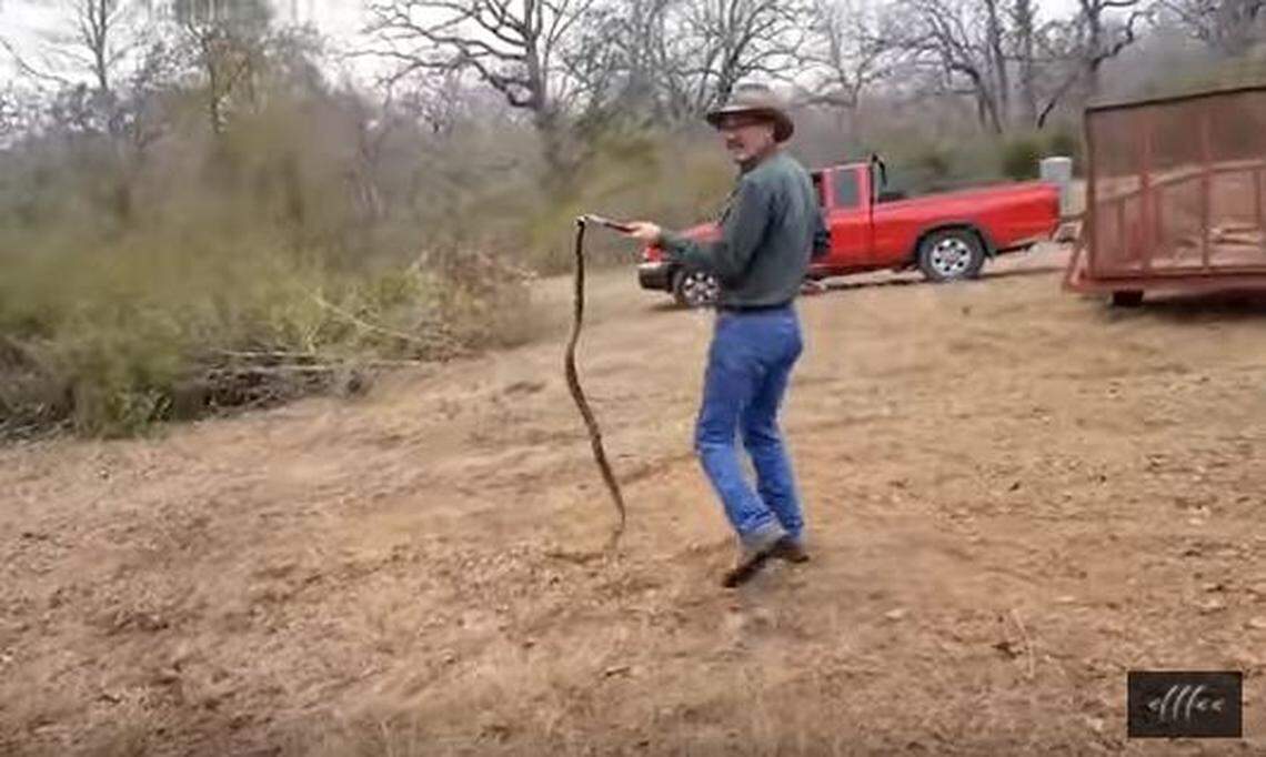 Why humans are above snakes in the food chain.