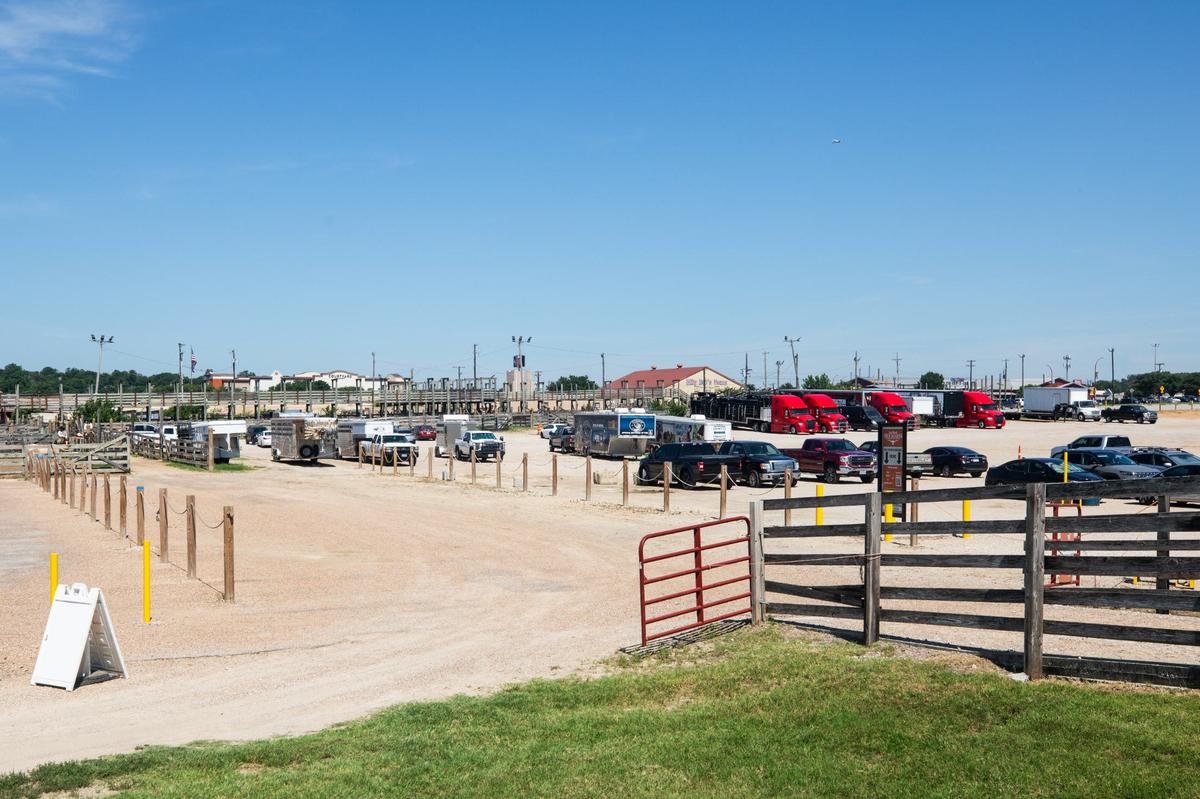 A parking lot near the cattle pens and Billy Bob’s on Friday, June 7, 2024, at the Fort Worth Stockyards. Nearly $1 billion in new development would fill this space with new commercial and apartment buildings, a hotel and underground parking garages.