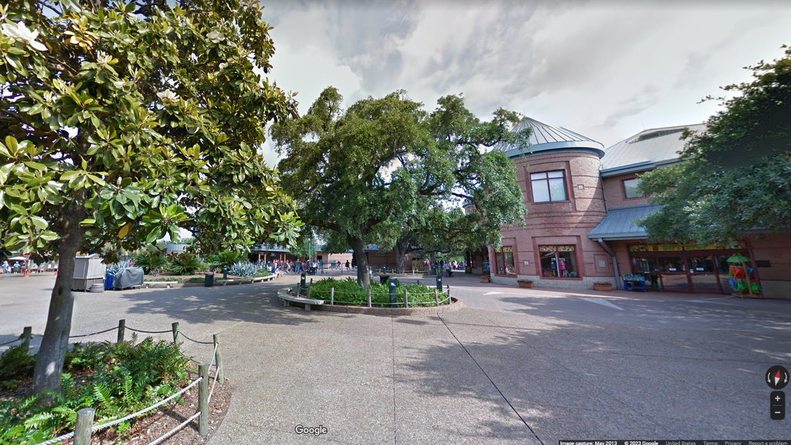 The Houston Zoo, where three radiated tortoises were recently born.