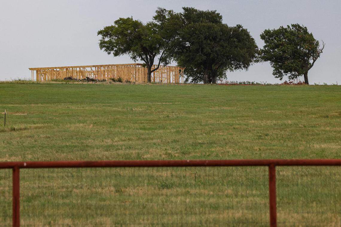 A wooden frame of a house  in construction can be seen in the distance in a grassy field