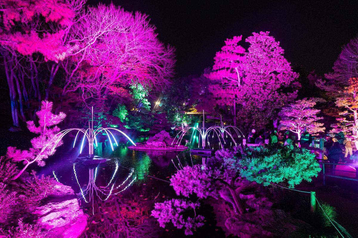 Guest walk through the ‘Poleen’ display during the Lightscape 2023 event at the Fort Worth Botanic Gardens on Friday, Nov. 24, 2023.