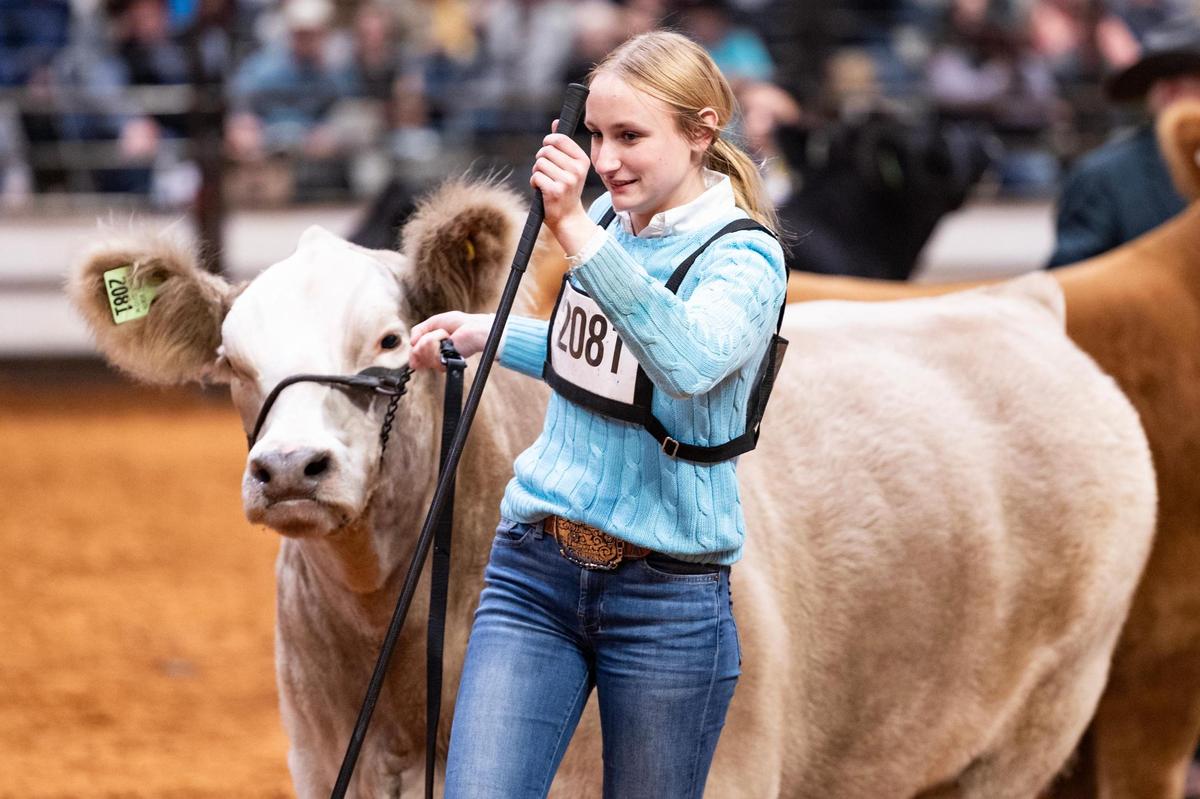 La Vernia resident Mattison Koepp, 16, walks out on to the stage with her steer at the Fort Worth Stock Show & Rodeo on Friday, Feb. 7, 2025. Koepp took home the Grand Champion Steer of the Show.