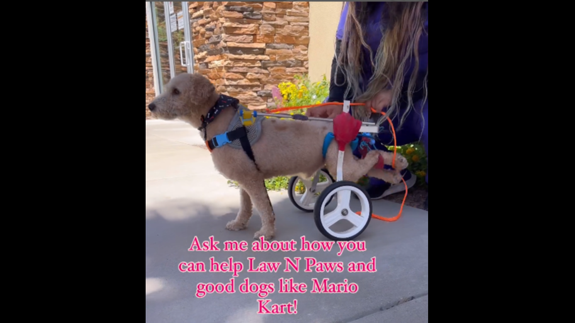 Mario Kart is absolutely in love with his chair.