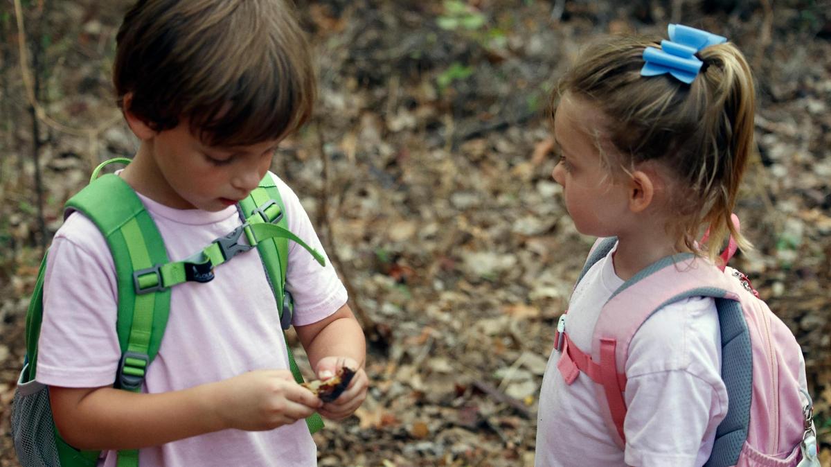 William and Evelyn open a seed pod to spread the seeds at Cross Timbers Forest Preschool at the Bob Jones Nature Center and Preserve in Southlake on Friday, Sept. 22, 2023. Children get standard classroom education along with learning on trails and in the forest. The class normally walks a mile a day to study nature.
