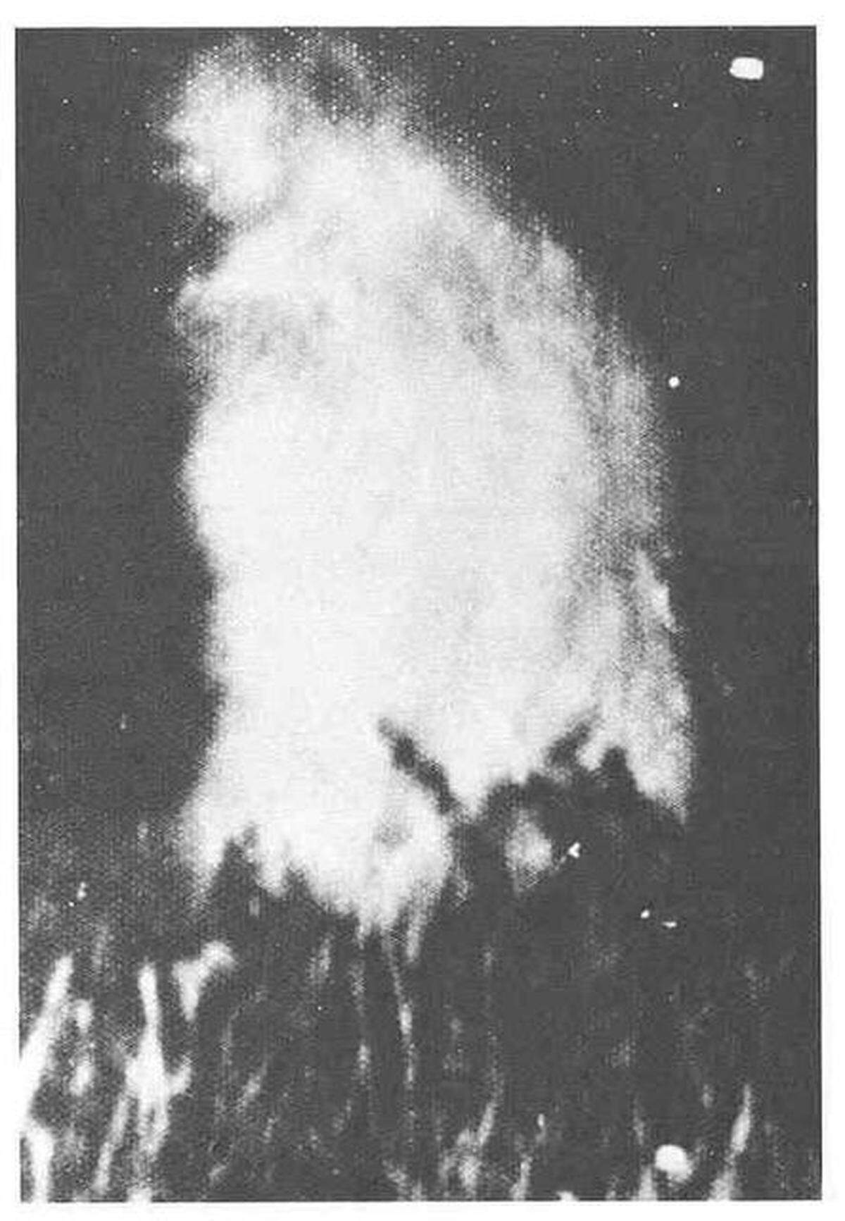 lakeworthmonster.jpg