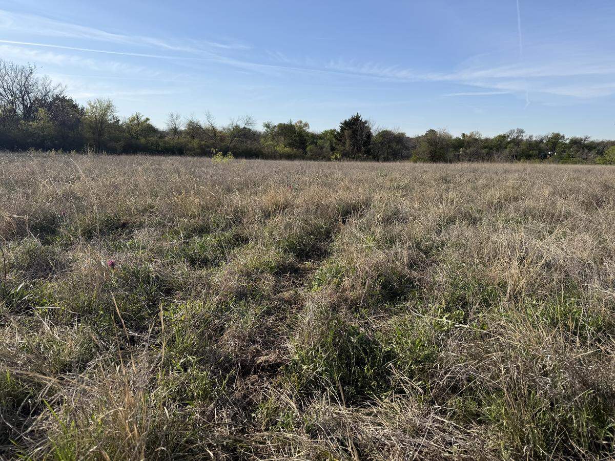 Fort Worth residents are upset after ATV tire tracks have damaged wildflowers at Tandy Hills Nature Area’s Broadcast Hill as wildflower season nears.