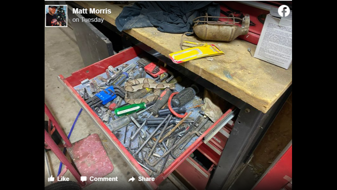 Mark Holton couldn’t see the snake until he fully opened the drawer.