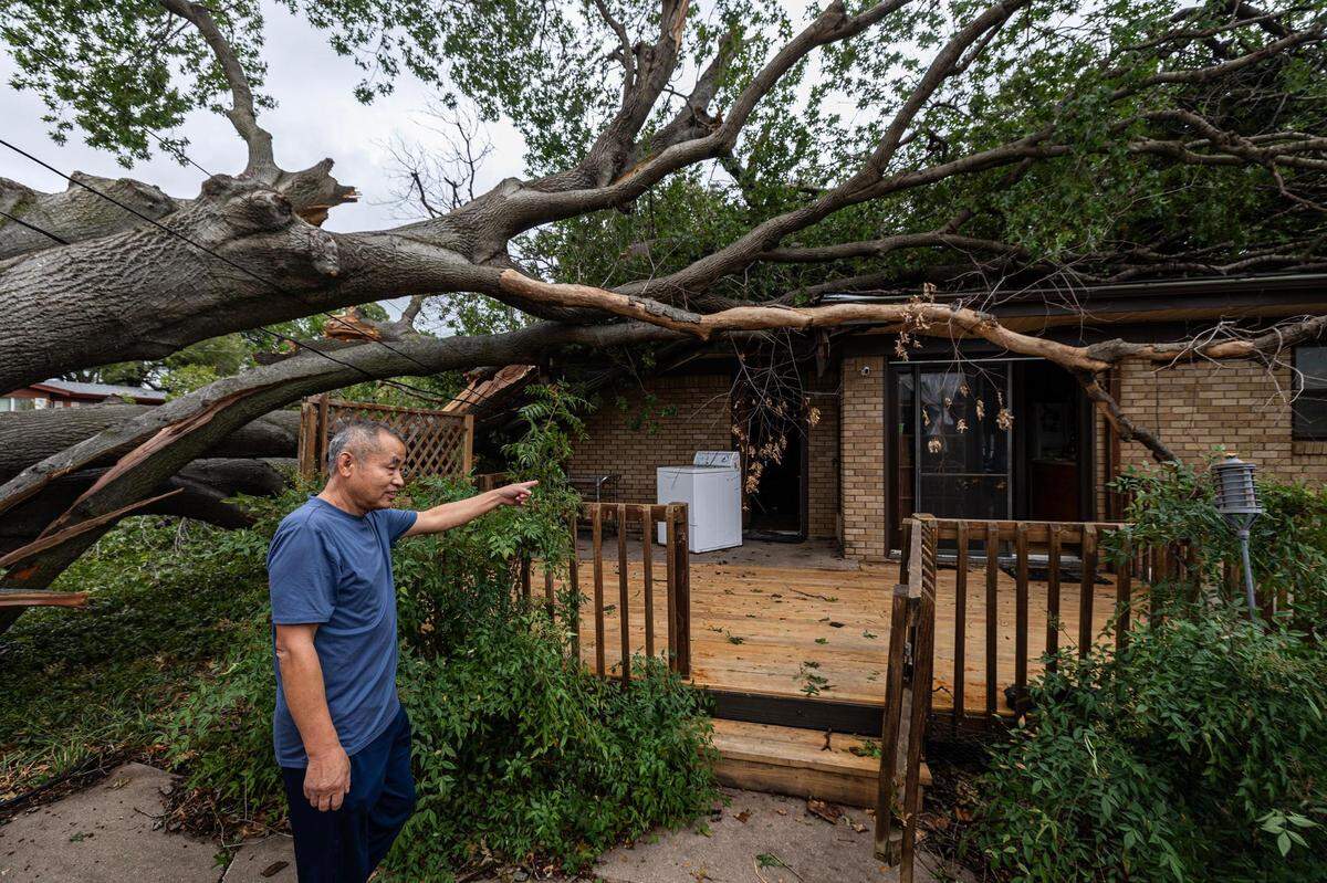 A large tree fell on to the roof of Xinghe Qu’s house due to strong winds in a heavy thunderstorm the night before on the 3500 block of Valencia Court in Fort Worth on Thursday, Oct. 5, 2023. Qu said he has lived in this house for around 25 years and has never experienced a storm this strong.