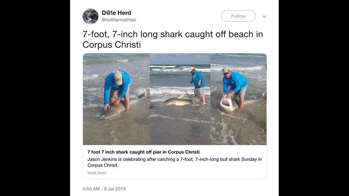 Jason Jenkins caught a 7-foot 7-inch bull shark off the coast of Corpus Christi, Texas, on Sunday.