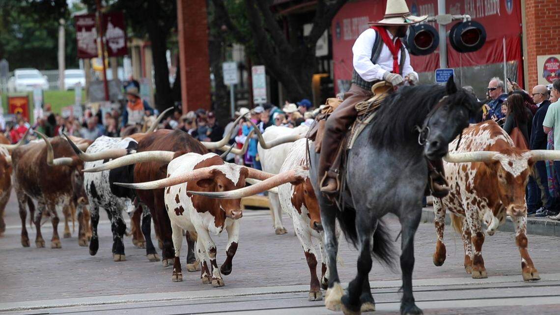 Guide to Fort Worth Stockyards: Western history, fine dining, music and cattle drives