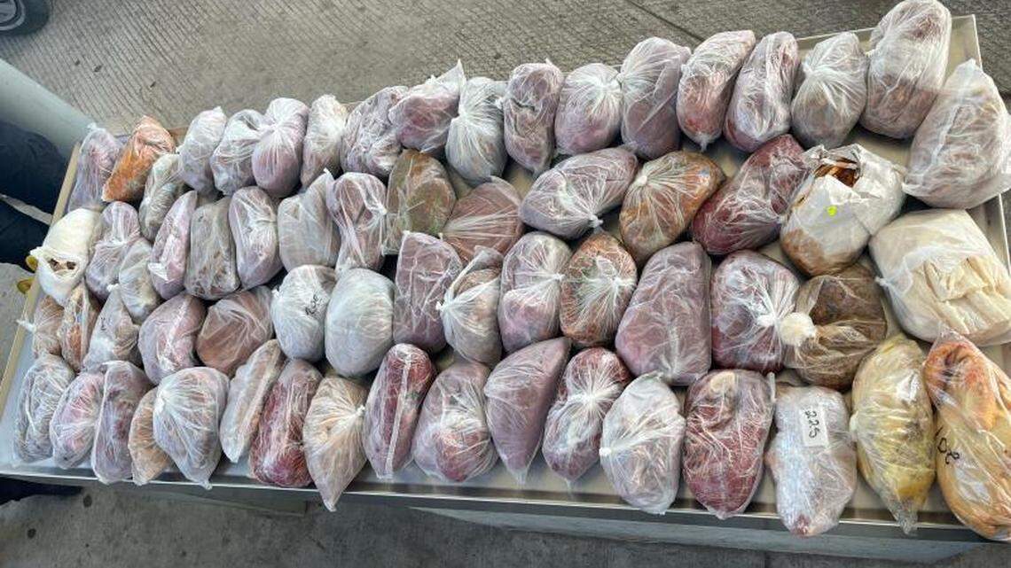 Border officers found 124 pounds of prohibited pork and poultry meat hidden in a minivan crossing into Texas, officials say.