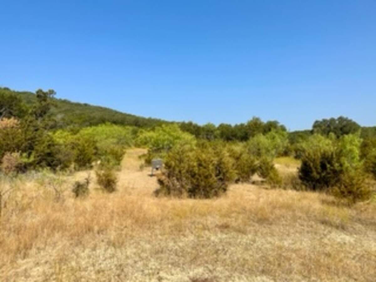 The property is the natural habitat for deer, turkey, dove, geese, ducks, fish and wild boar.