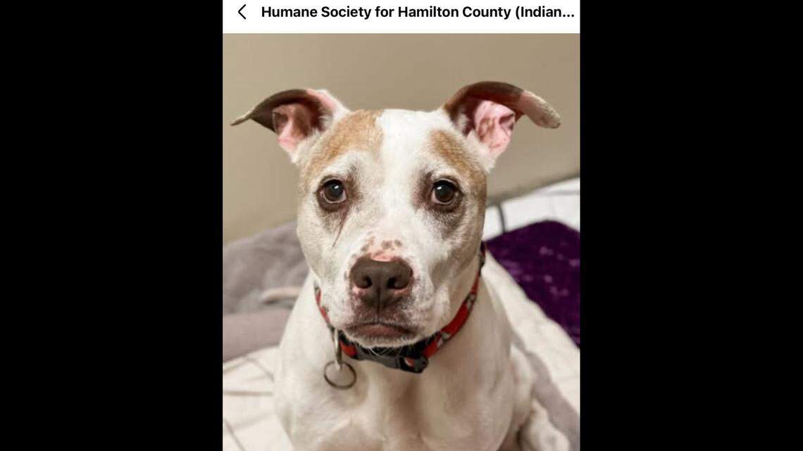 Johnny’s profile says he’s a “true couch enthusiast.”