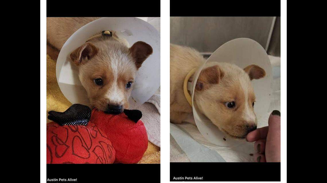 Tommy getting the love he deserves.