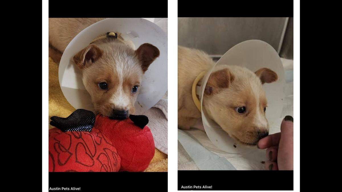 Tommy getting the love he deserves.