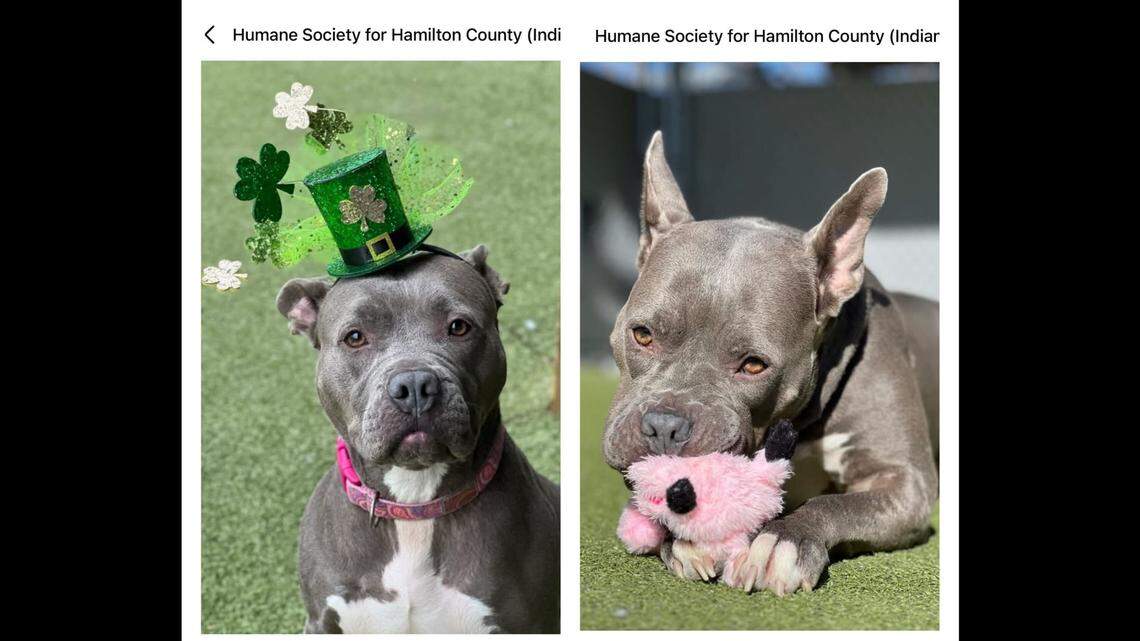 Hazy being adorable in every single way possible.