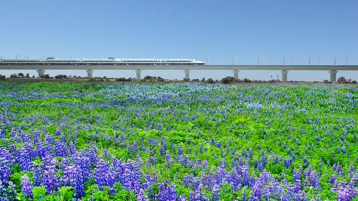 Why the makers of Texas' high-speed rail line want to connect to Amtrak