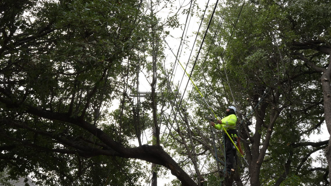 Oncor Electric workers trimmed trees this week to try to help reduce power outages during the January 2026 winter storm.