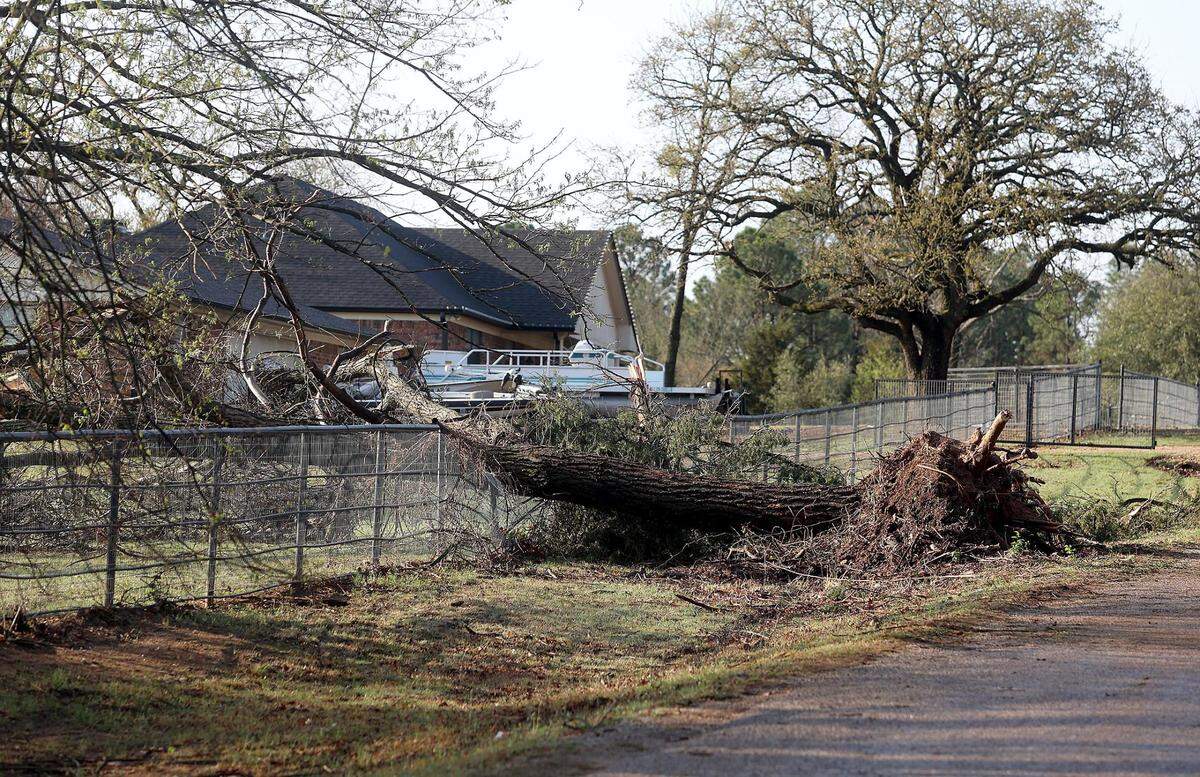 A tornado in Johnson County ripped trees down on Burleson Oaks Drive.