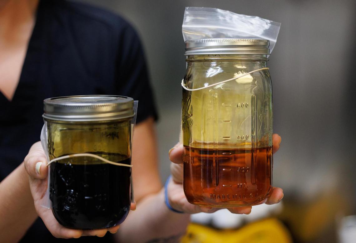 Head chef Emily Greene shows the difference between full spectrum cannabis oil, left, and distilled cannabis oil at Goodblend in Austin on Thursday, May 1, 2025.