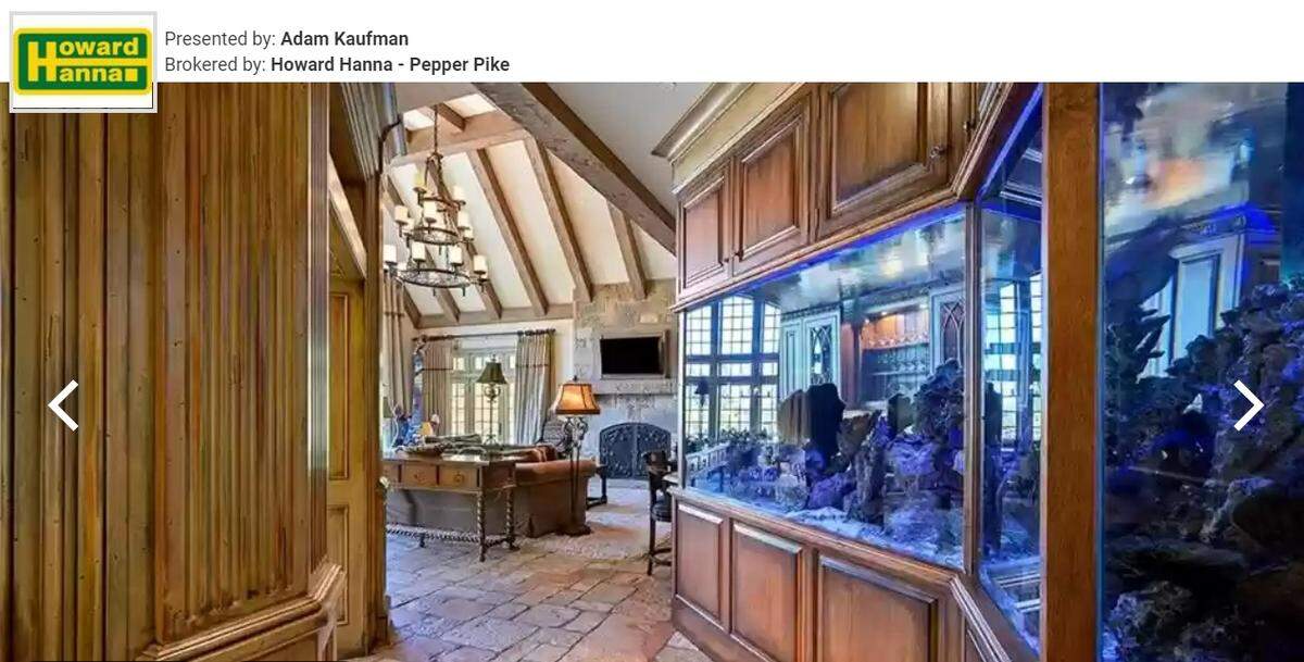 Fish tank