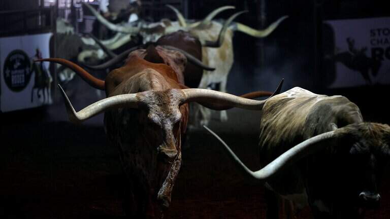 ‘Legacy of the Longhorn’ at Fort Worth Stockyards brings history to life