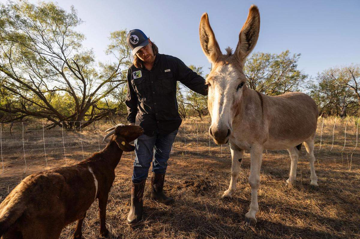 Greg Kalldin, the supervisor for the Goats on the Go Weatherford affiliate, pets one of the goats and Spanky the mule before they begin work on a new patch of land in Jacksboro.