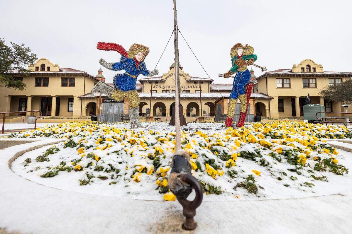 Snow and ice coat the flowers in front of the historic Fort Worth Livestock Exchange at Stockyards Station in Fort Worth on Monday, Jan. 15, 2024.