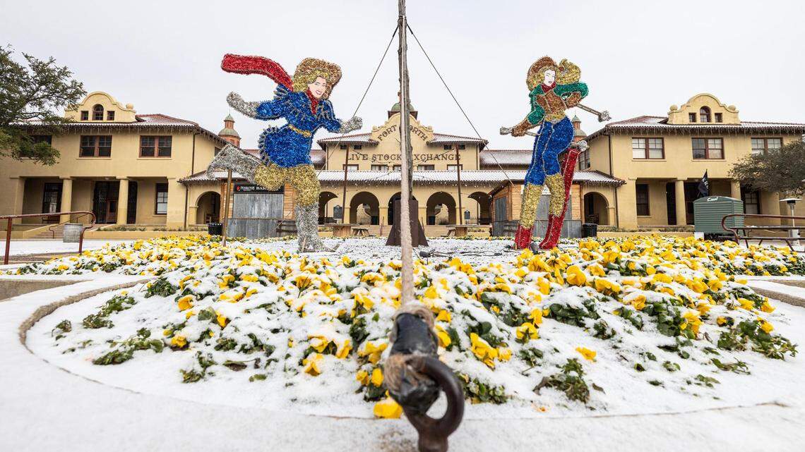 Snow and ice coat the flowers in front of the historic Fort Worth Livestock Exchange at Stockyards Station in Fort Worth on Monday, Jan. 15, 2024.