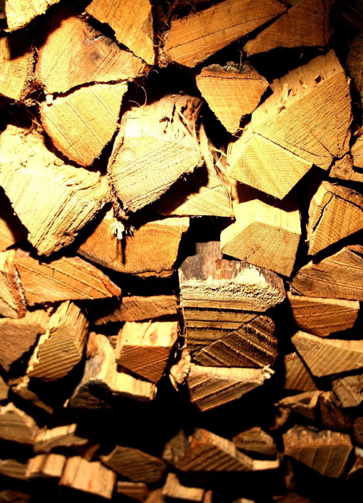 Not all firewoods burn at the same temperature, nor do they burn for the same lengths of time.