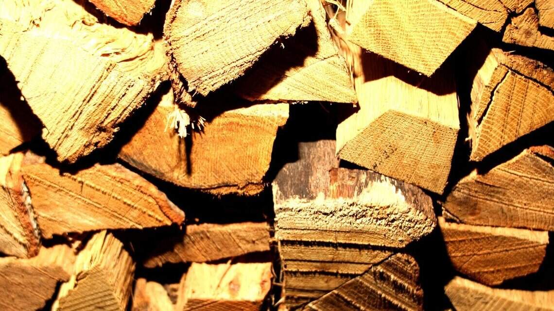 Not all firewood is the same. What to know before you light a campfire or fireplace